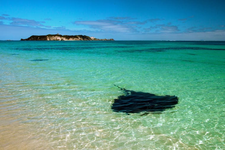 Across The Great Australian Bight