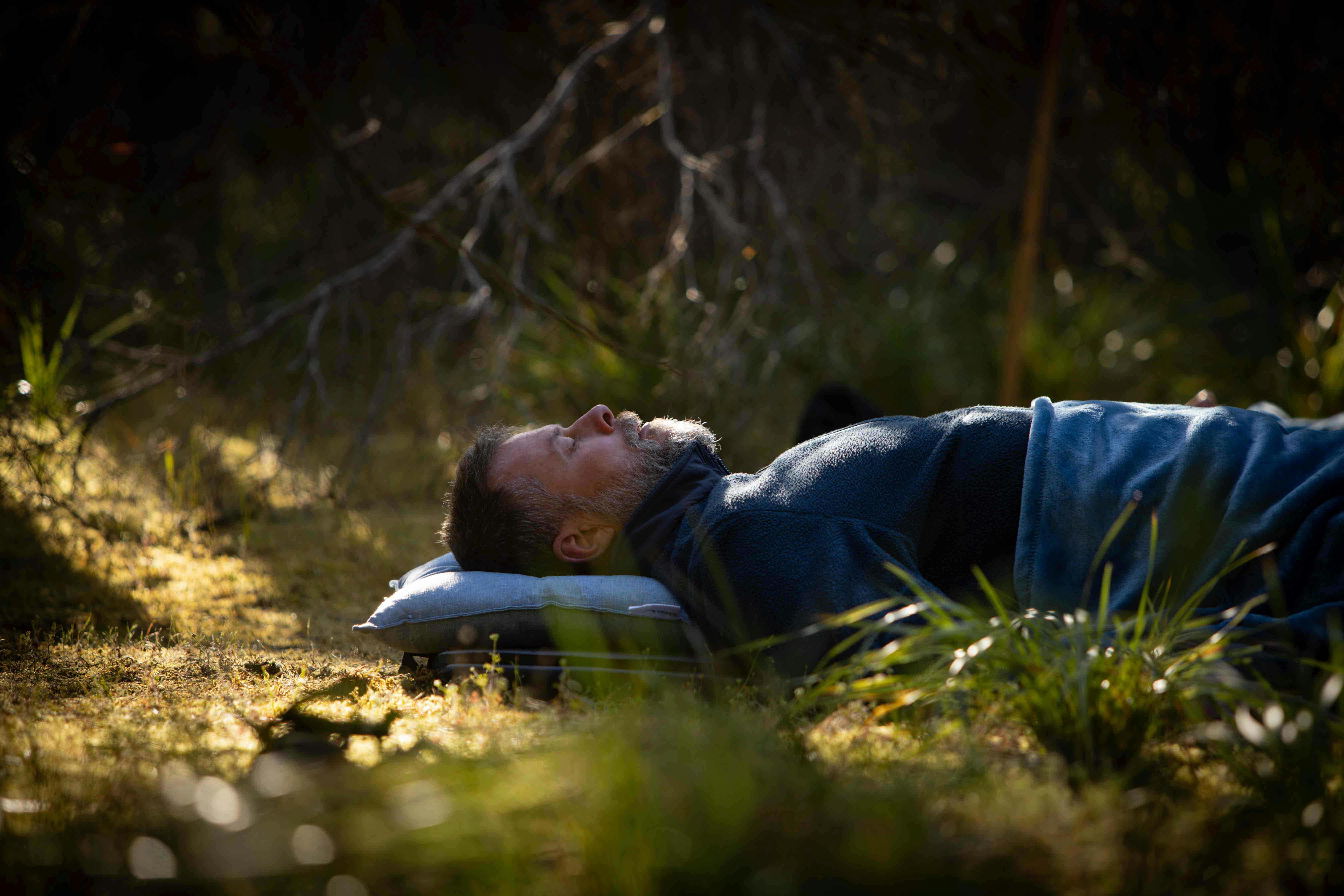 Island Alive breathwork in the forest