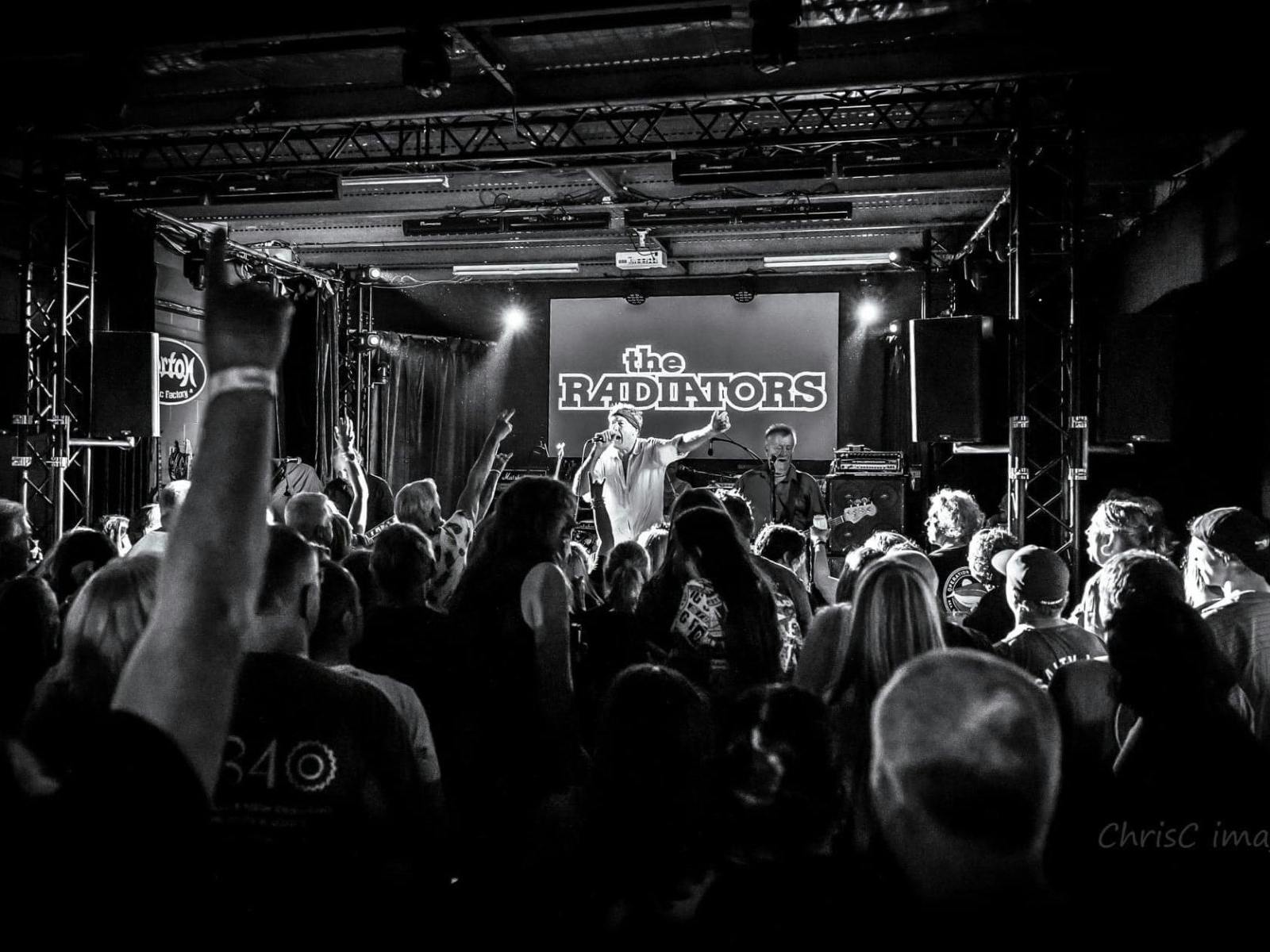 The Radiators singing in front of a live audience