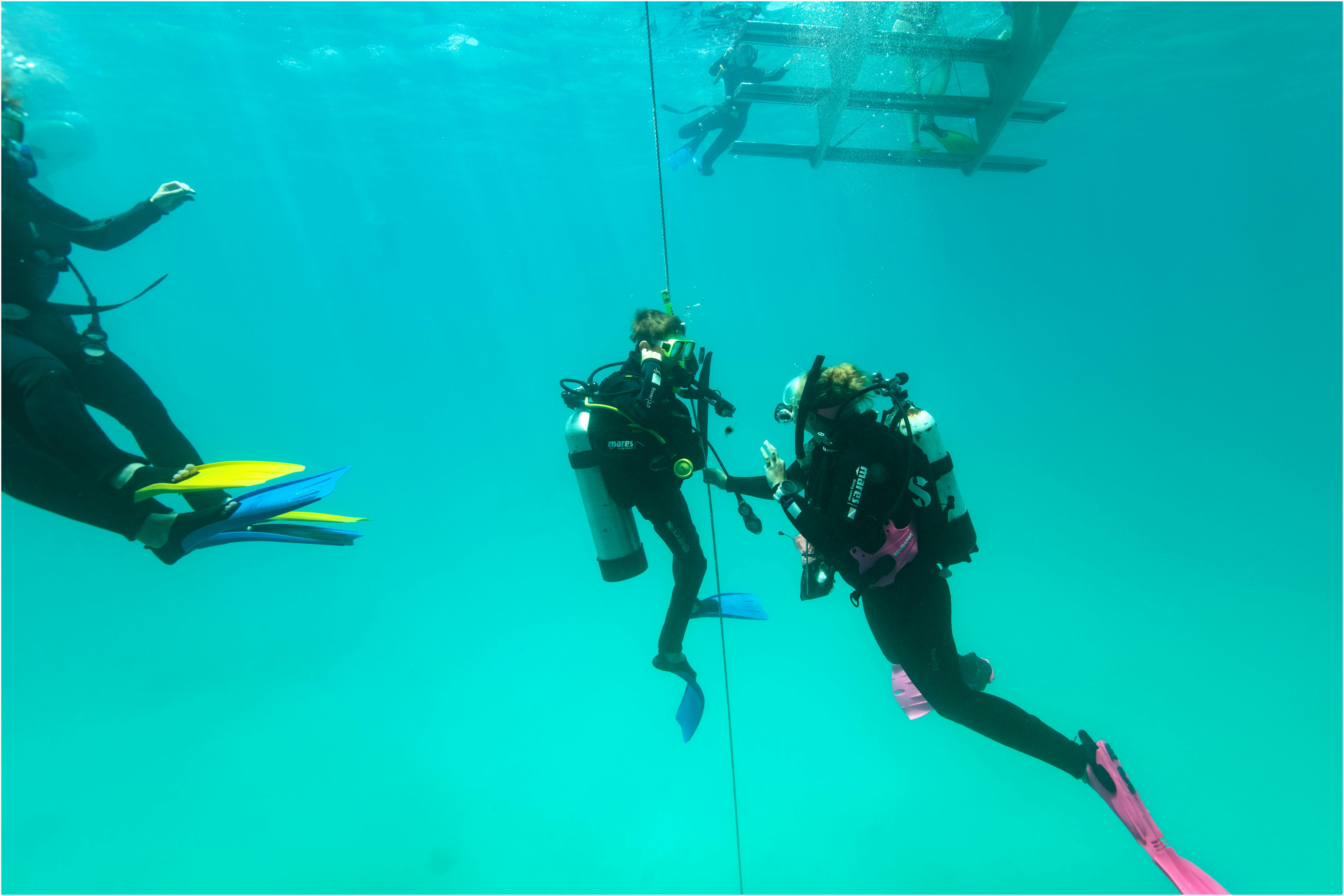padi open water dive course