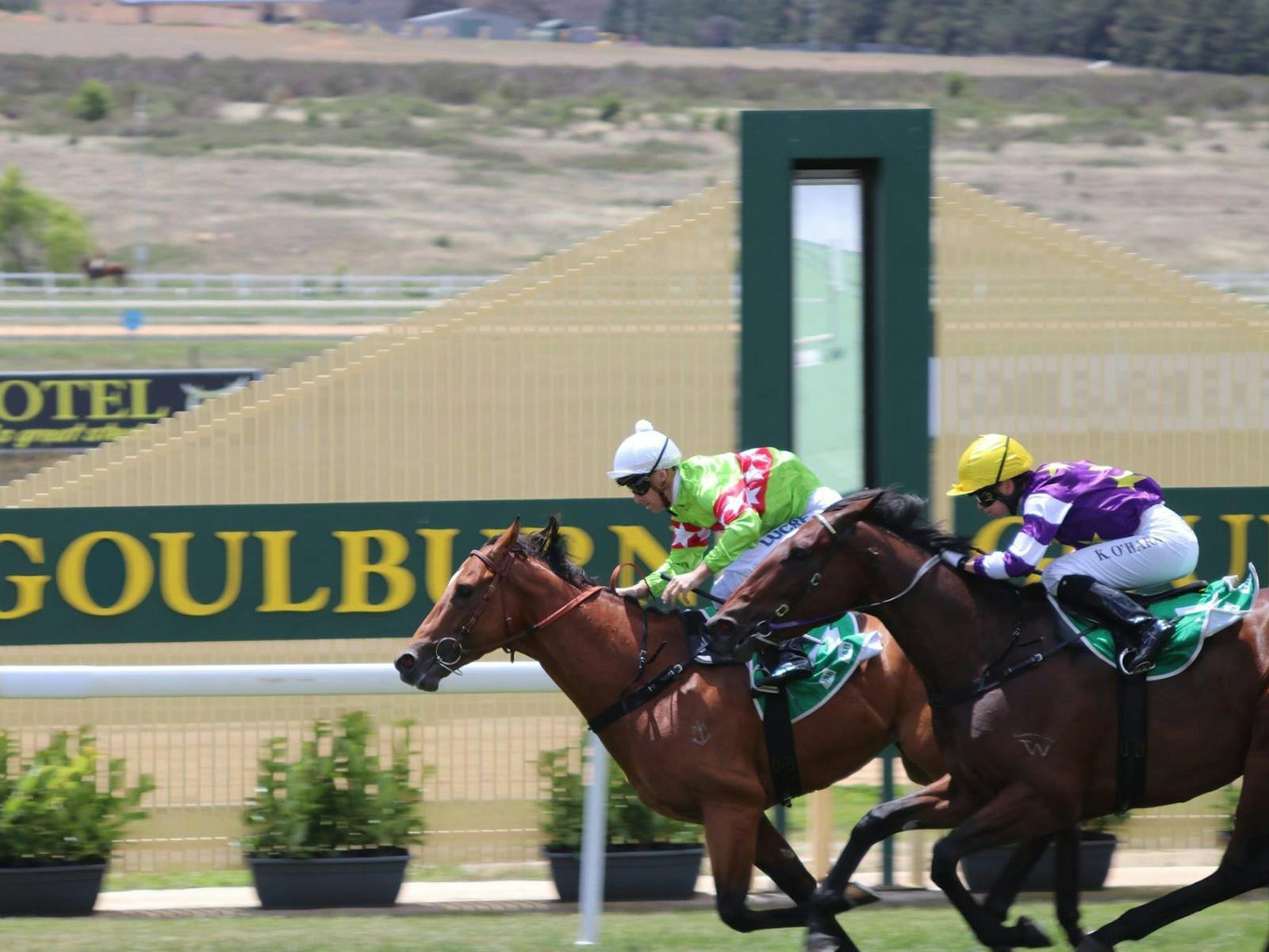 Image for Goulburn Cup