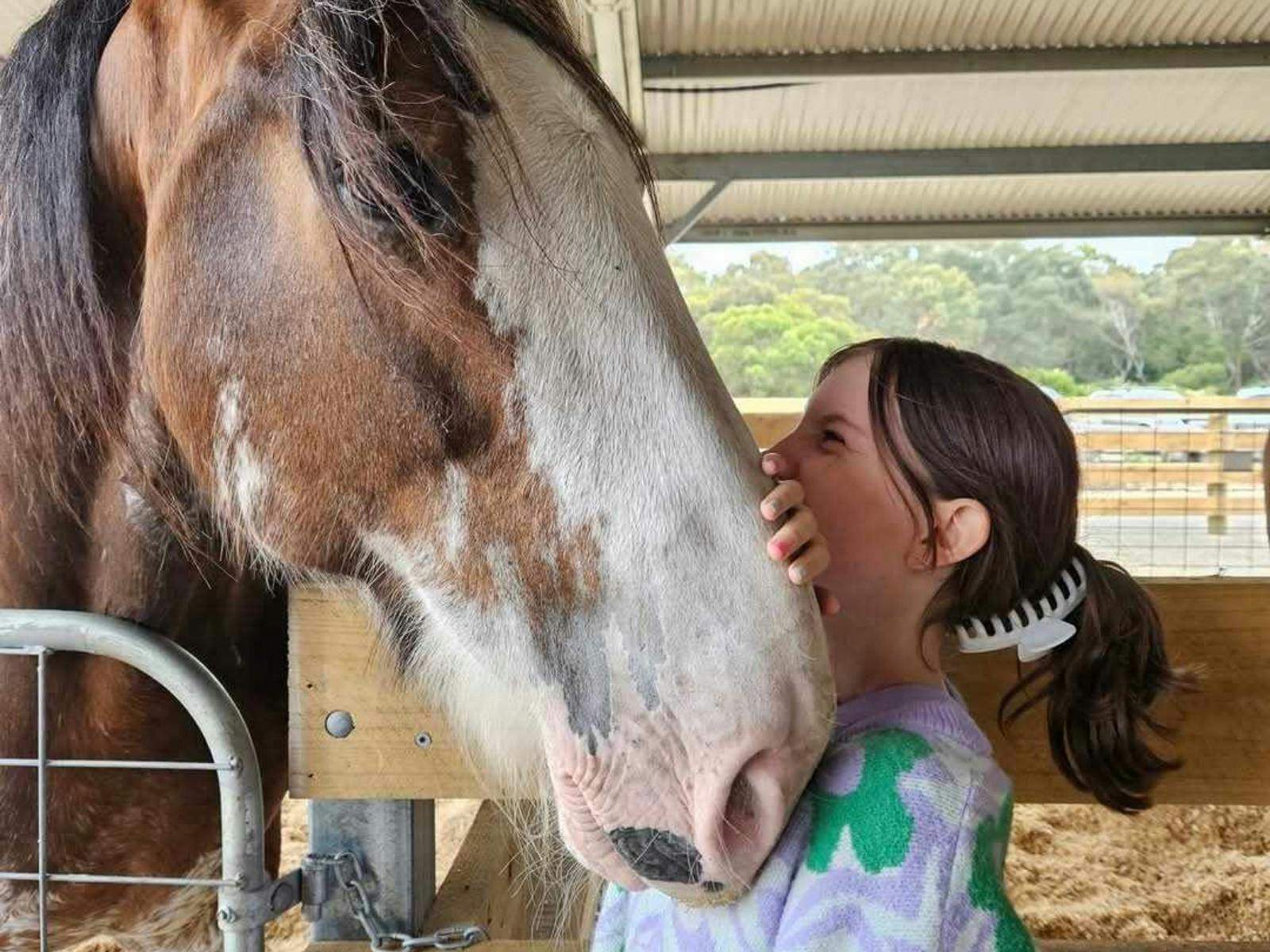 Humans connecting with Horses