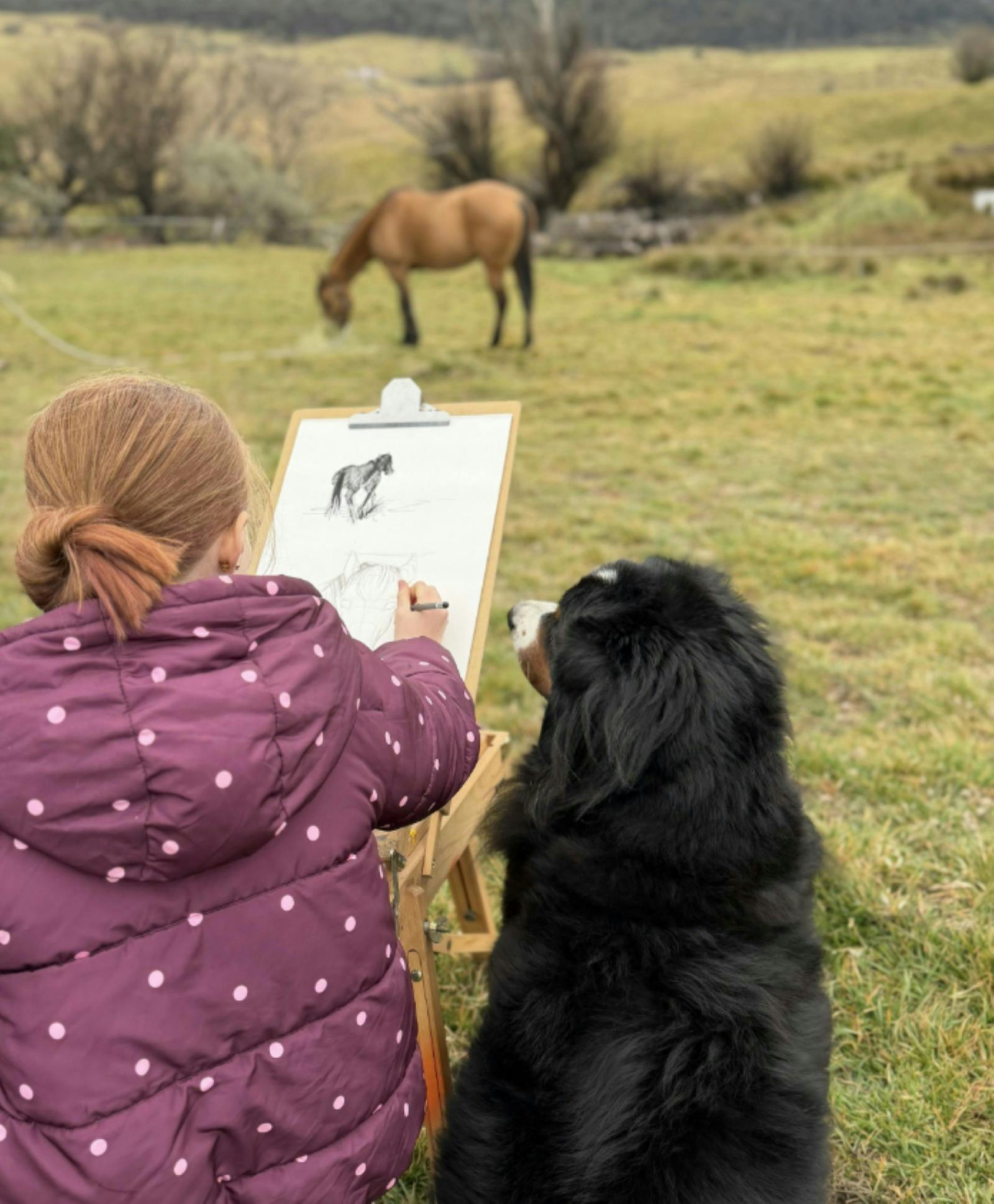 Art in the pasture