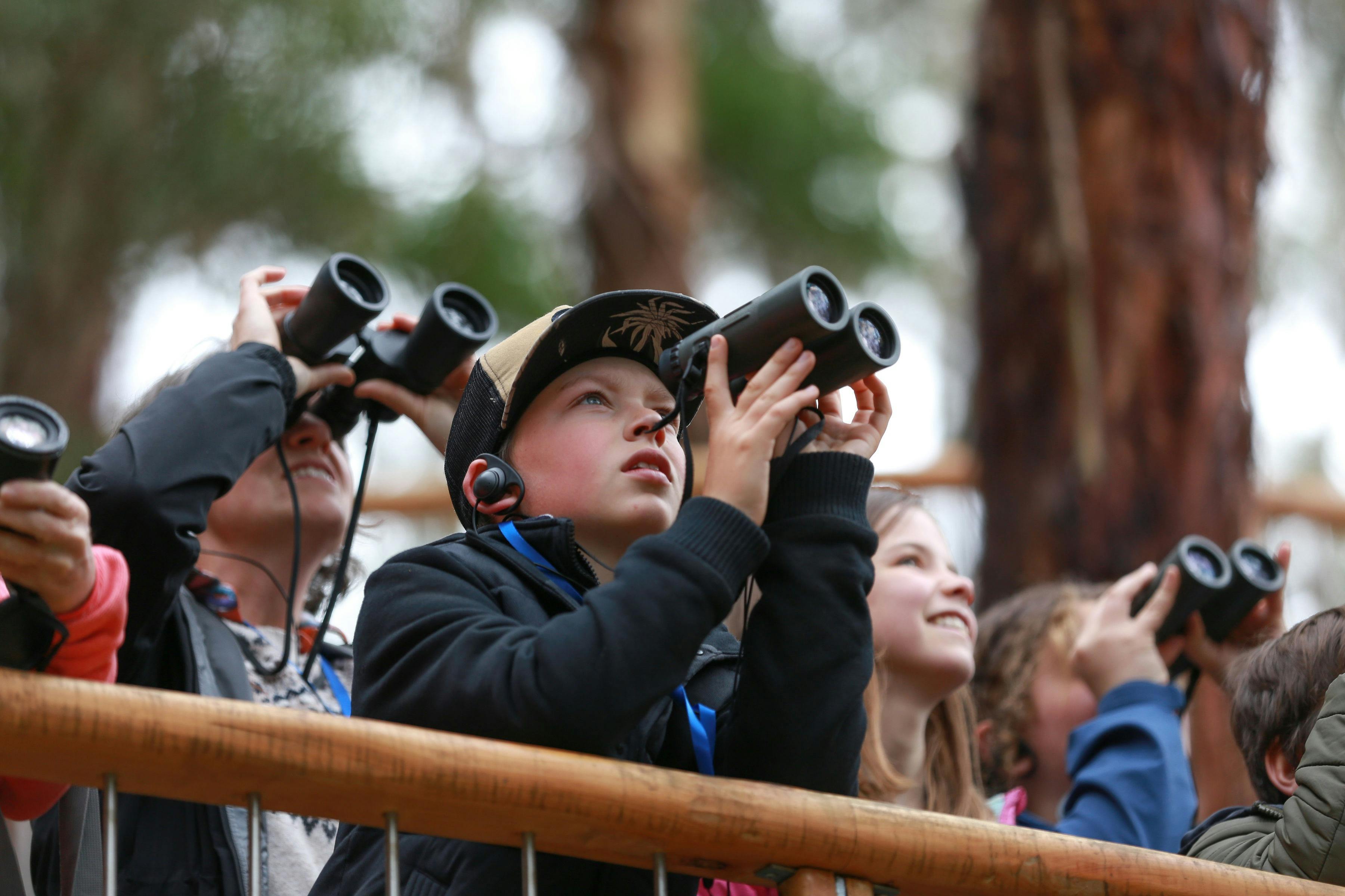 Wildlife watching at Wildlife Wonders