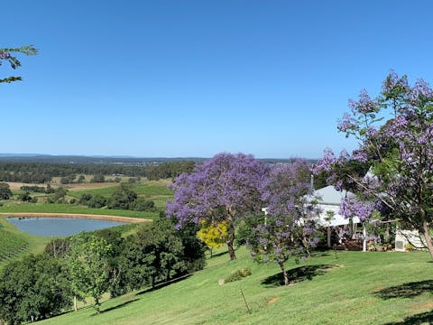 Private Hunter Valley Lunch Flight