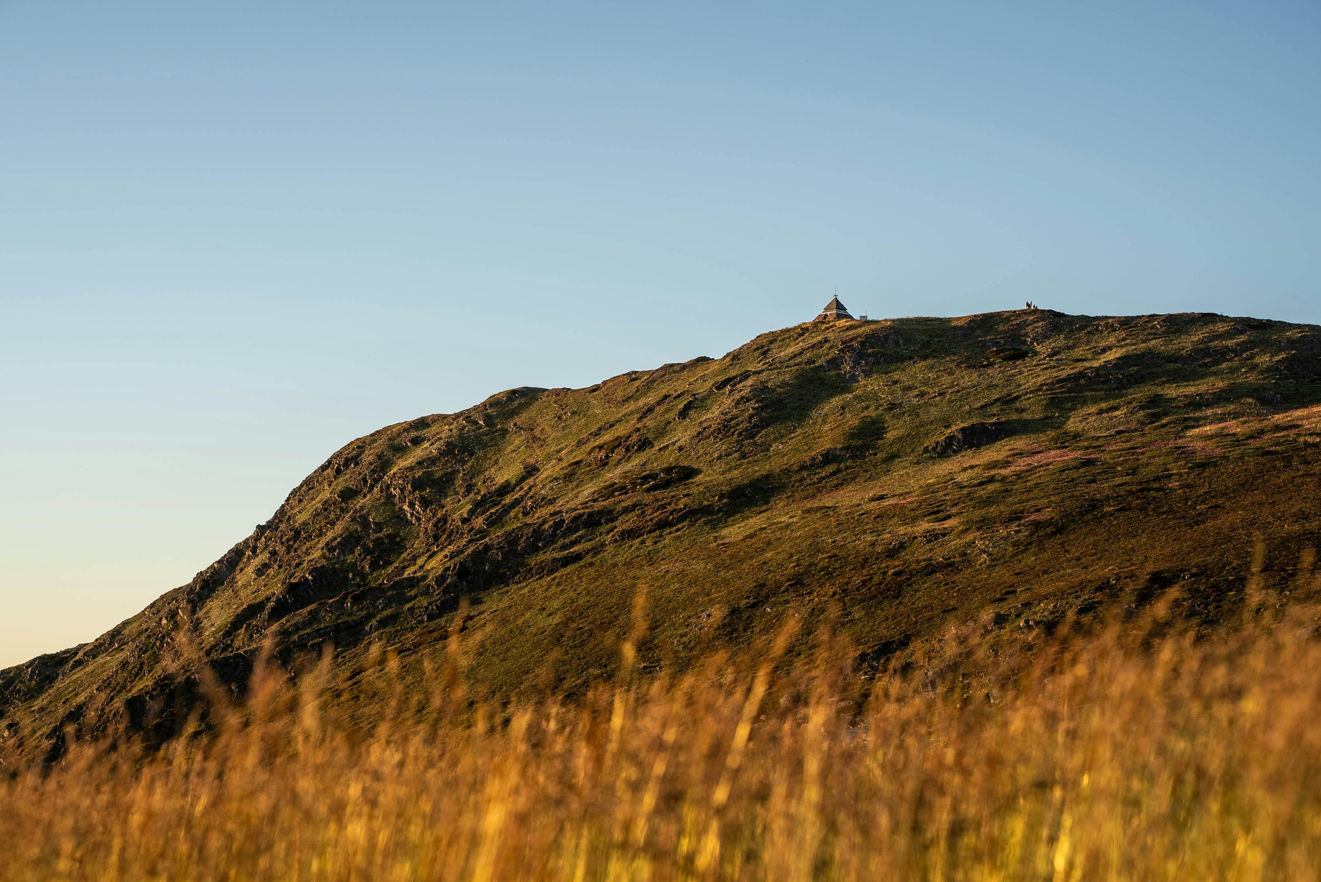 Mt Buller Summer