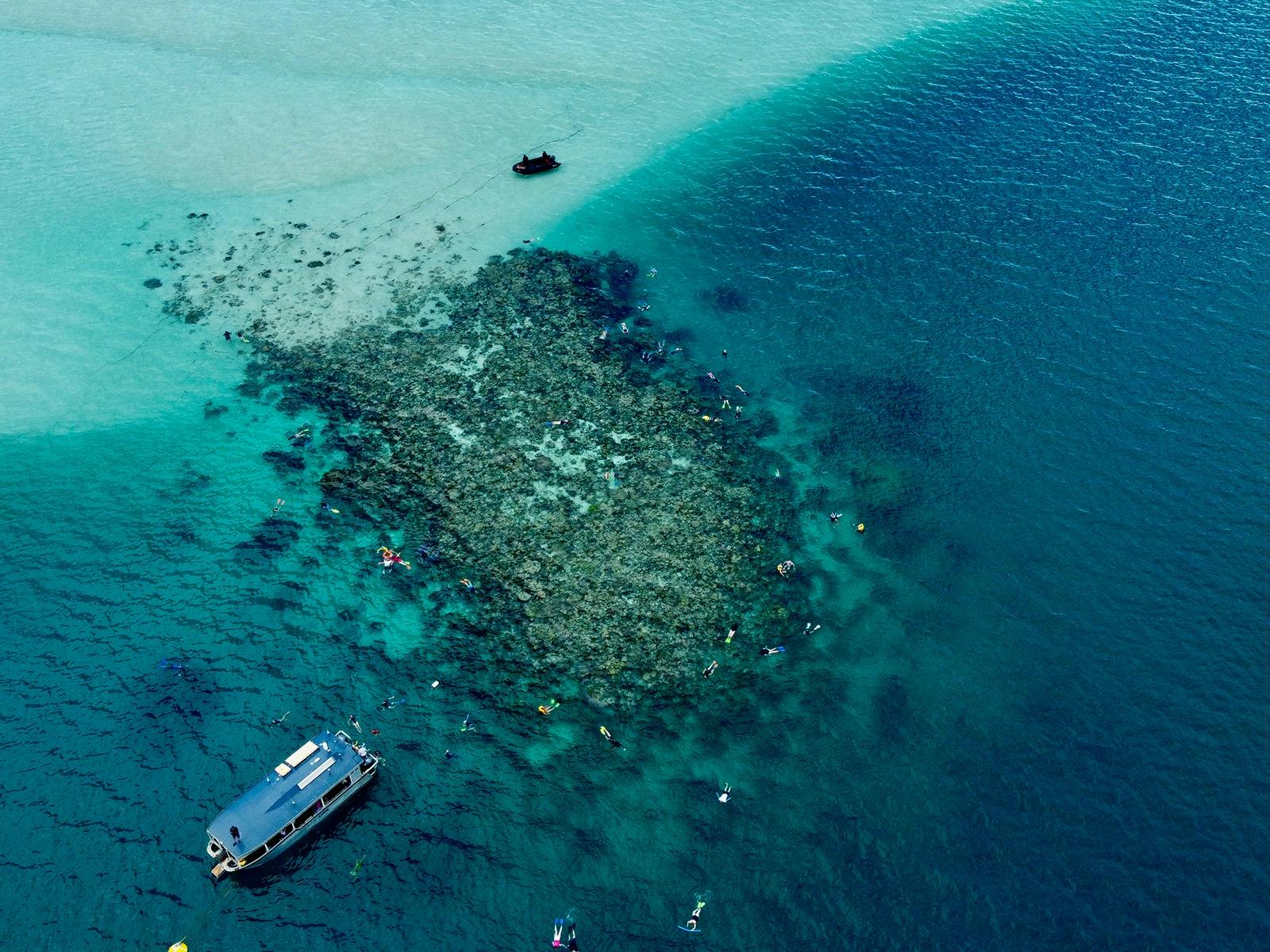 Xplorer and guests swimming in Ashmore Reef