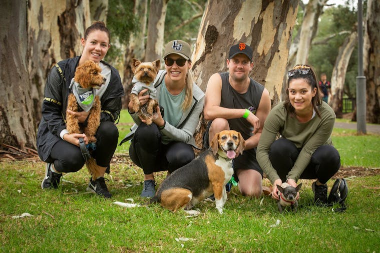 RSPCA Million Paws Walk Adelaide