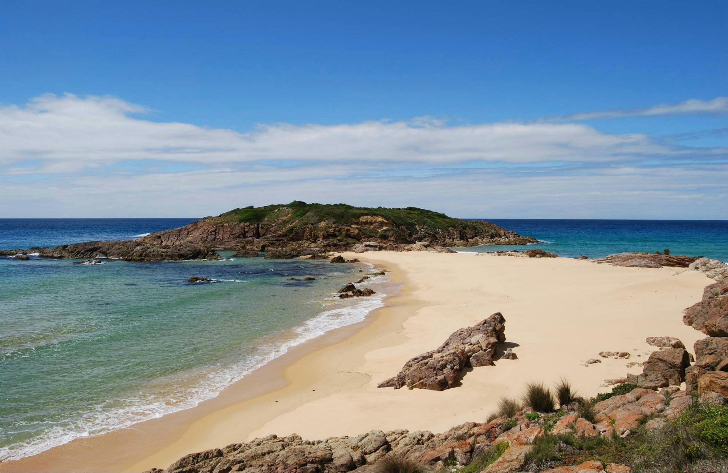 샌디 크릭 루프 트랙 본다 국립 공원. 사진: BECC/NSW 정부