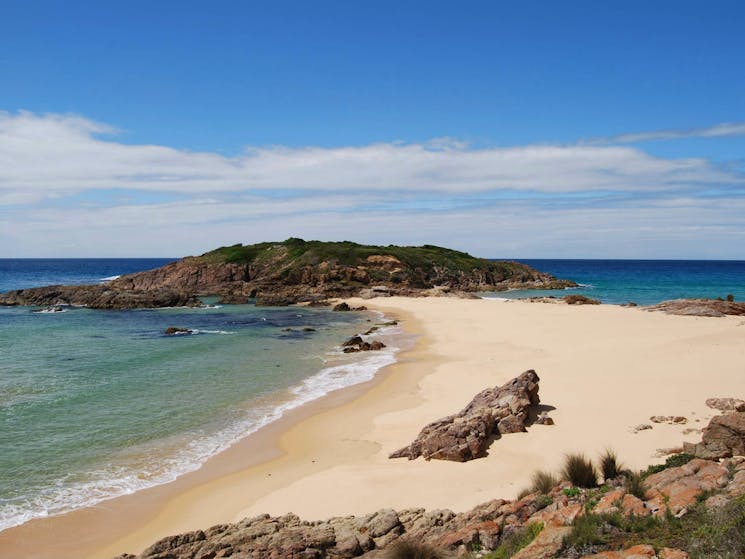 Sandy Creek loop track, Bournda National Park. Photo: BECC/NSW Government