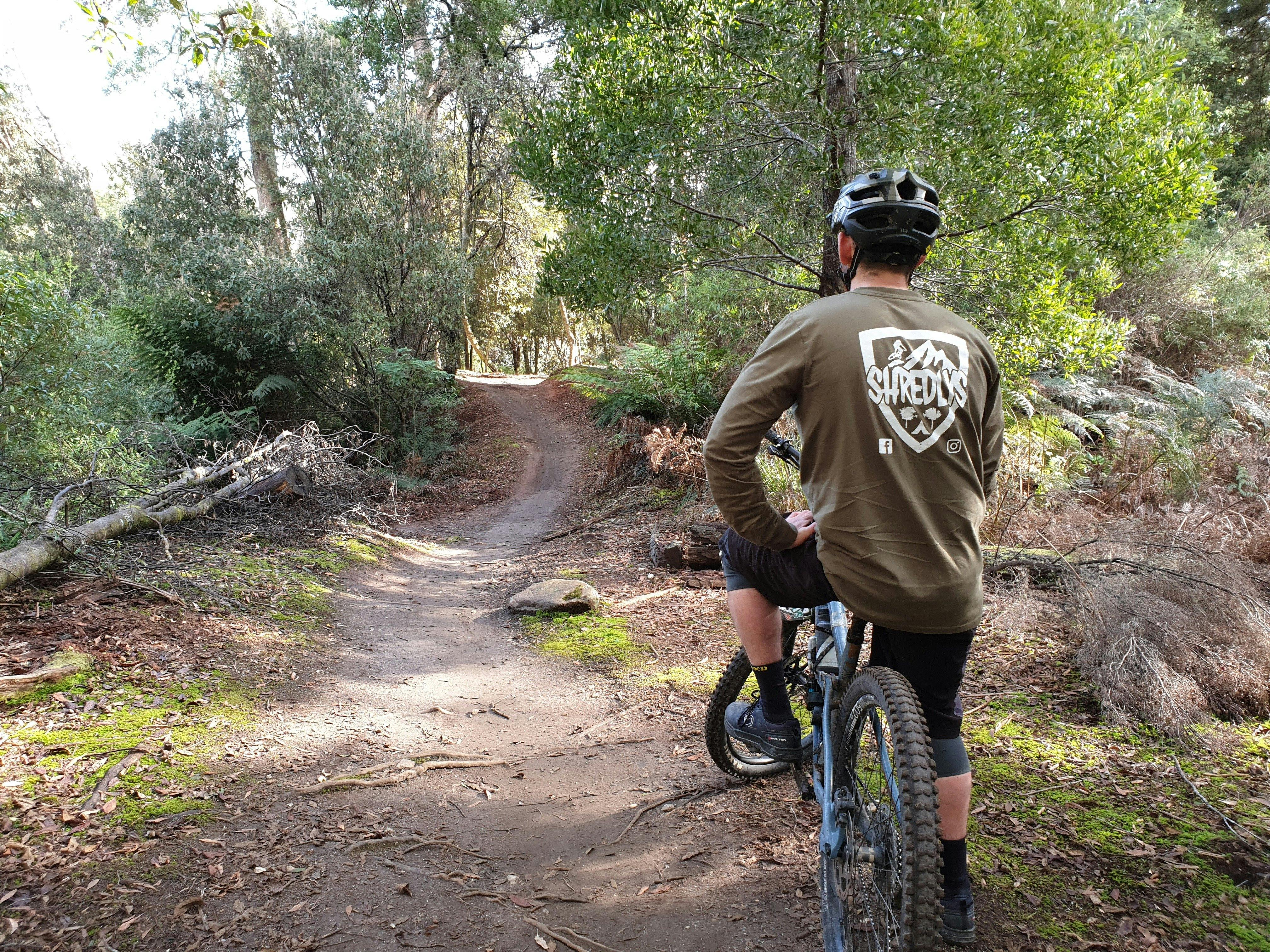 Blue Derby mtb trails are stunning natural landscape