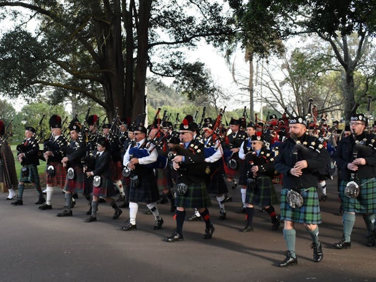 State Pipe Band Championships | NSW Holidays & Accommodation, Things to ...