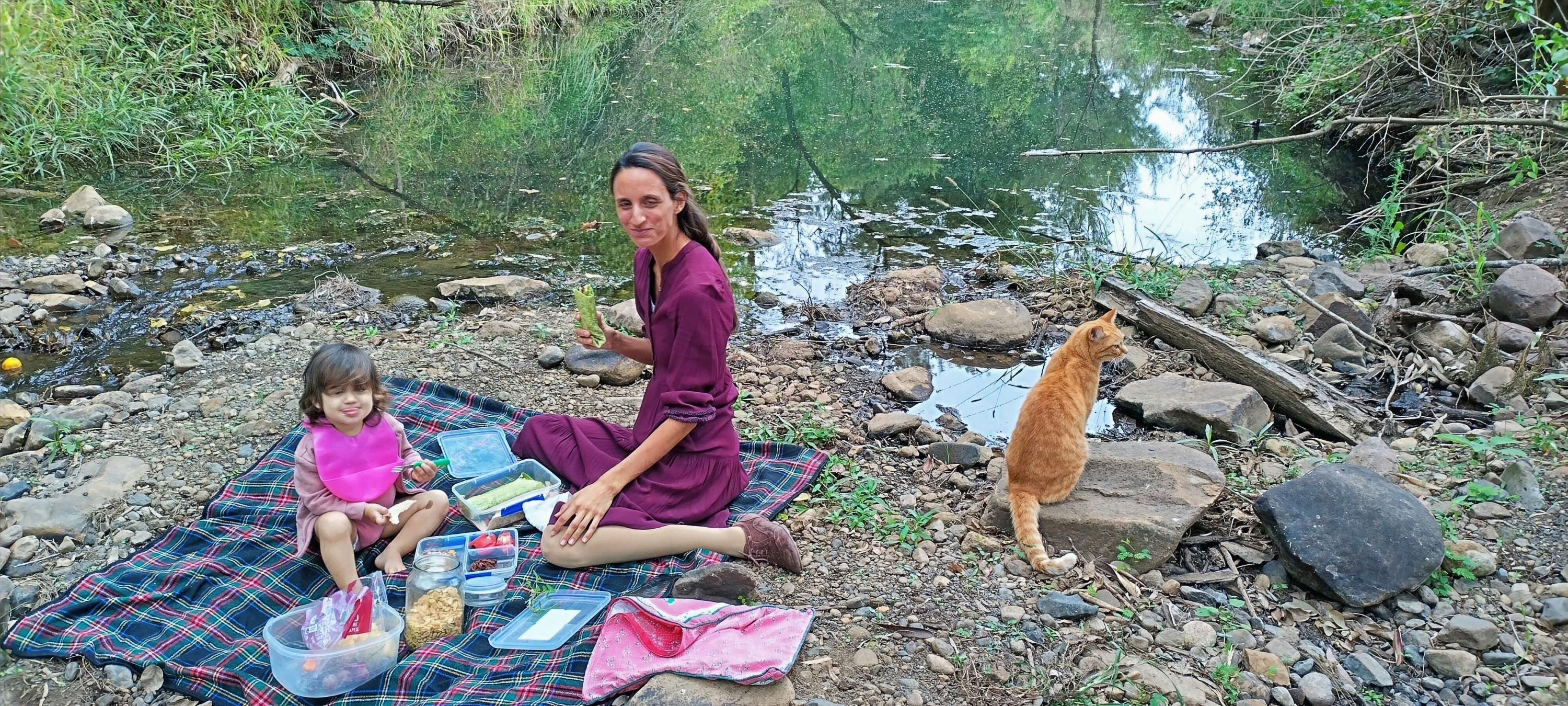 Picnic by the creek