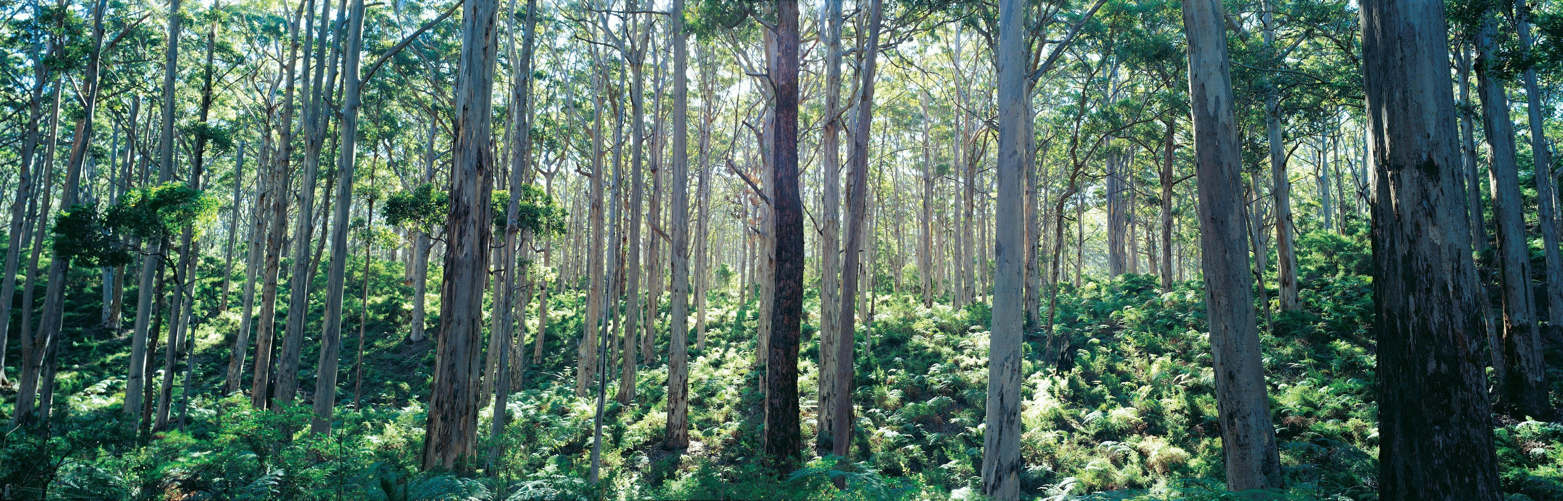 South West and Golden Outback itinerary, Margaret River, Western Australia