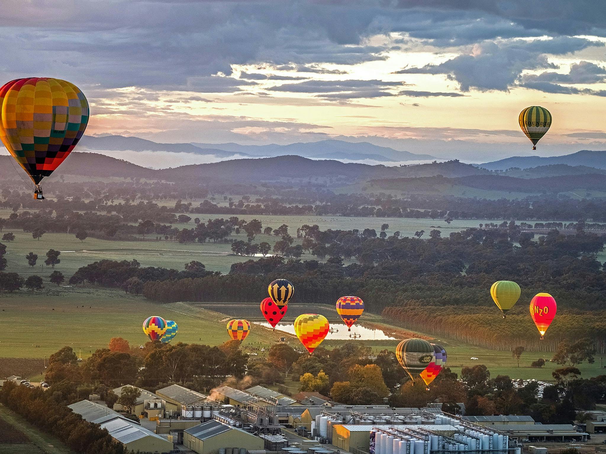 Our annual Balloon Festival takes flight above Milawa