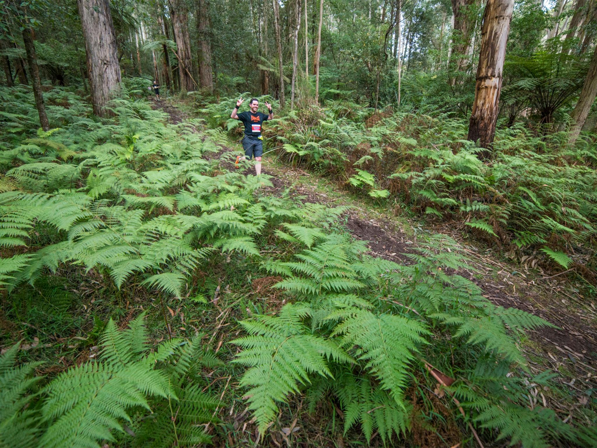 The Trail Running Series presented by The North Face, Race 3, Silvan, Dandenongs