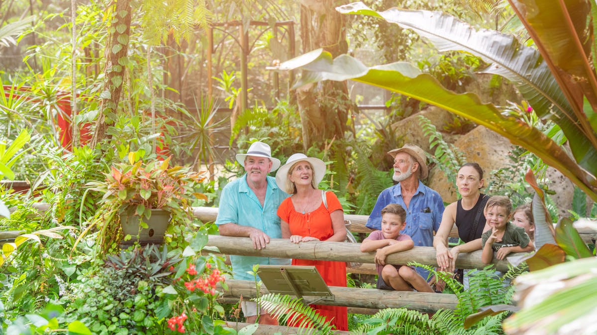 Australian Butterfly Sanctuary