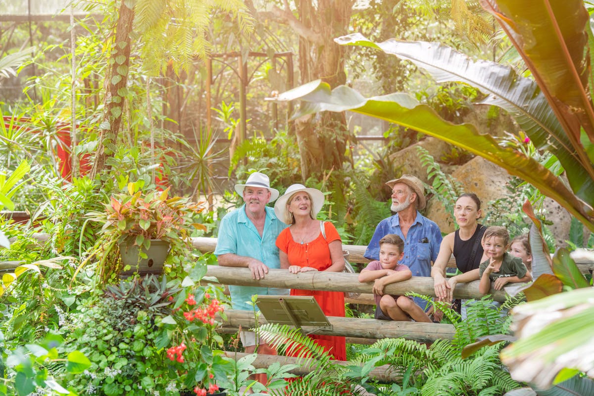 Australian Butterfly Sanctuary