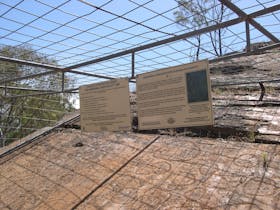 Information fo the Carvings