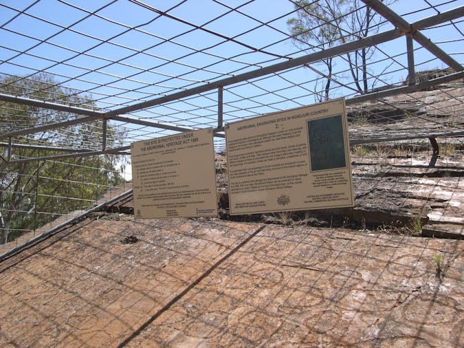 Aboriginal Carvings