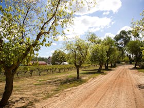 Road leading to the original Winery &  Cellar Yard with 1875 Tower visible
