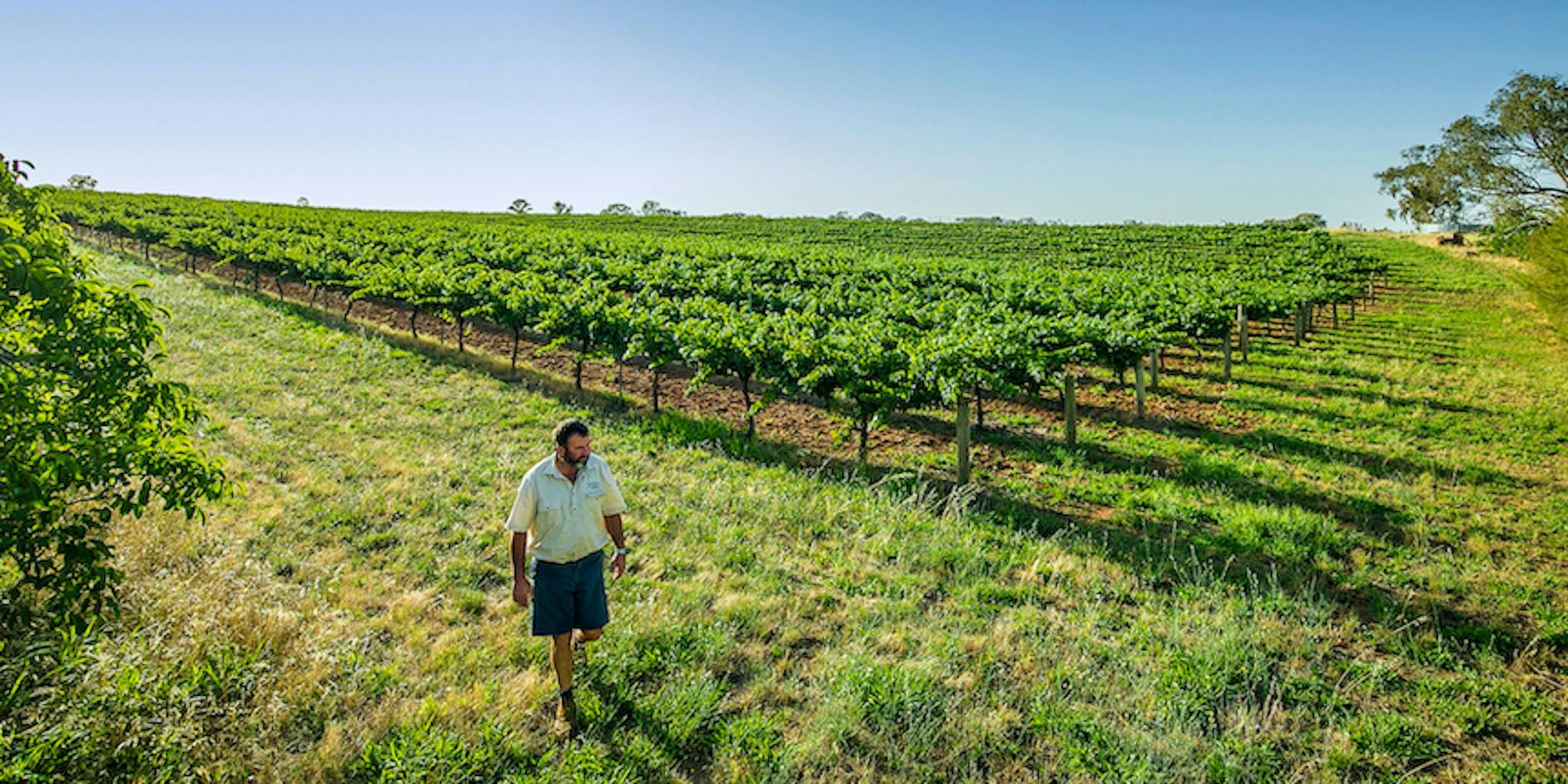 Sydney Cellar Door Sydney, Australia Official Travel