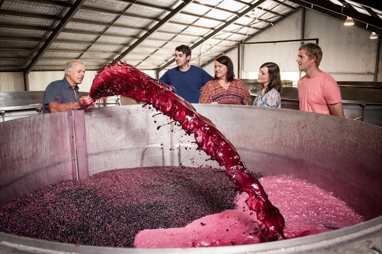 Barossa Valley Highlights tour