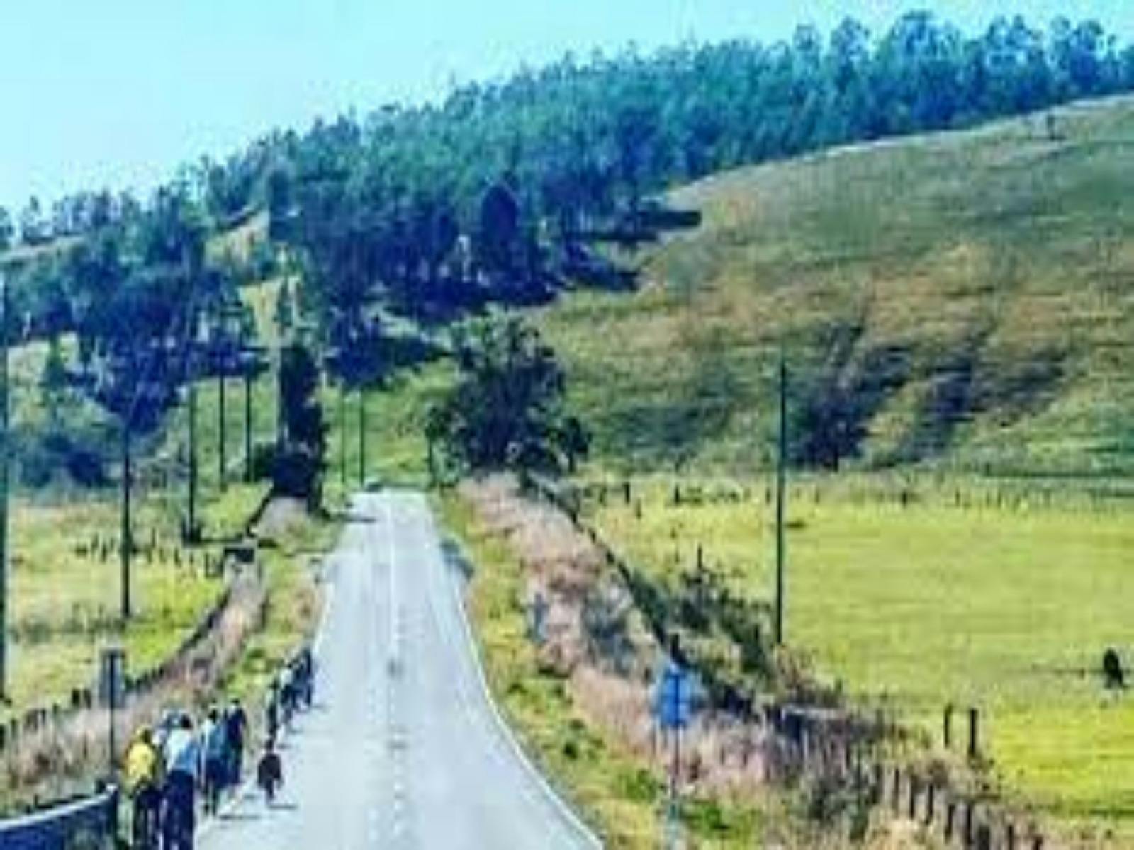 Road