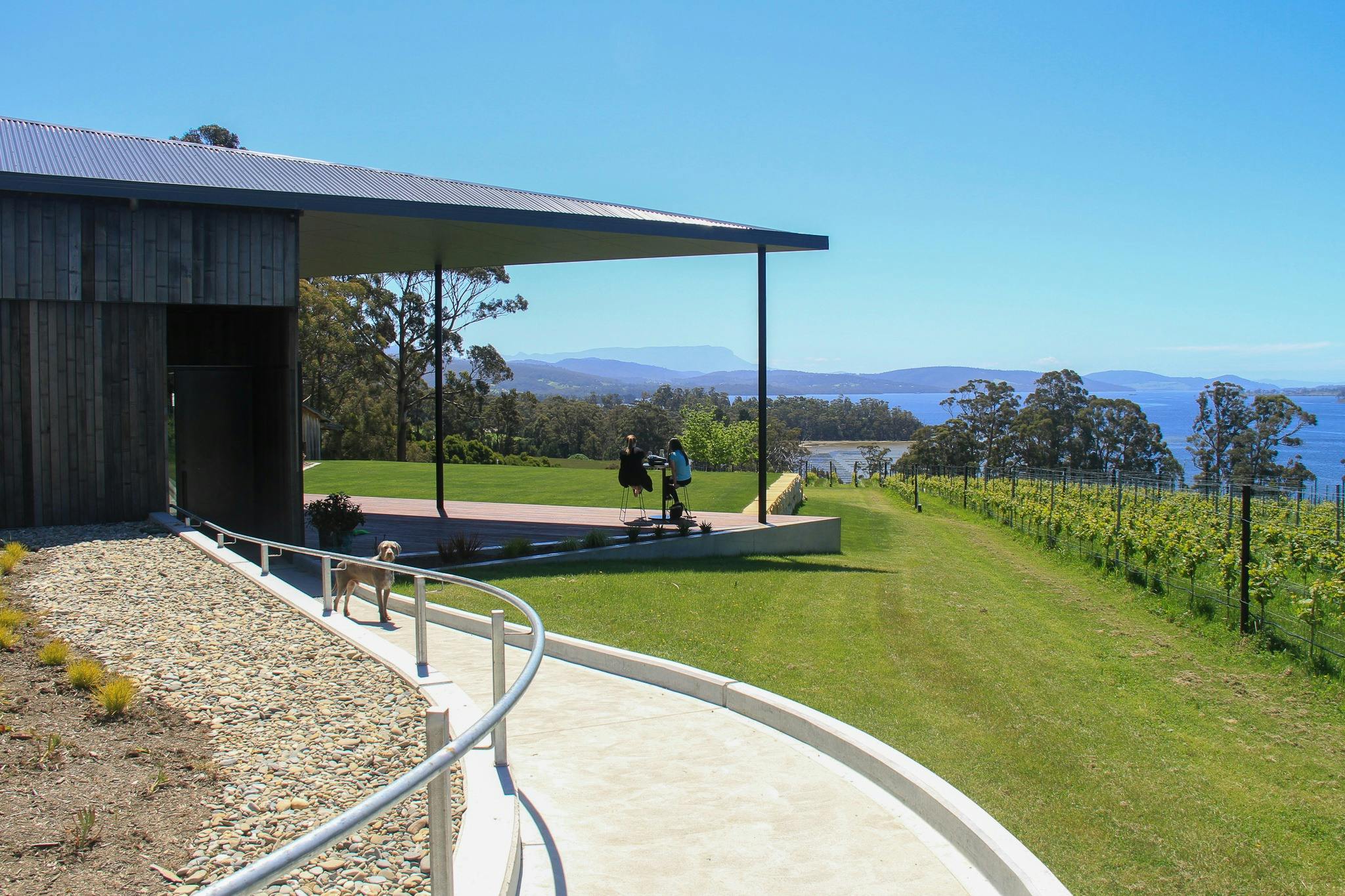 Mewstone Wines