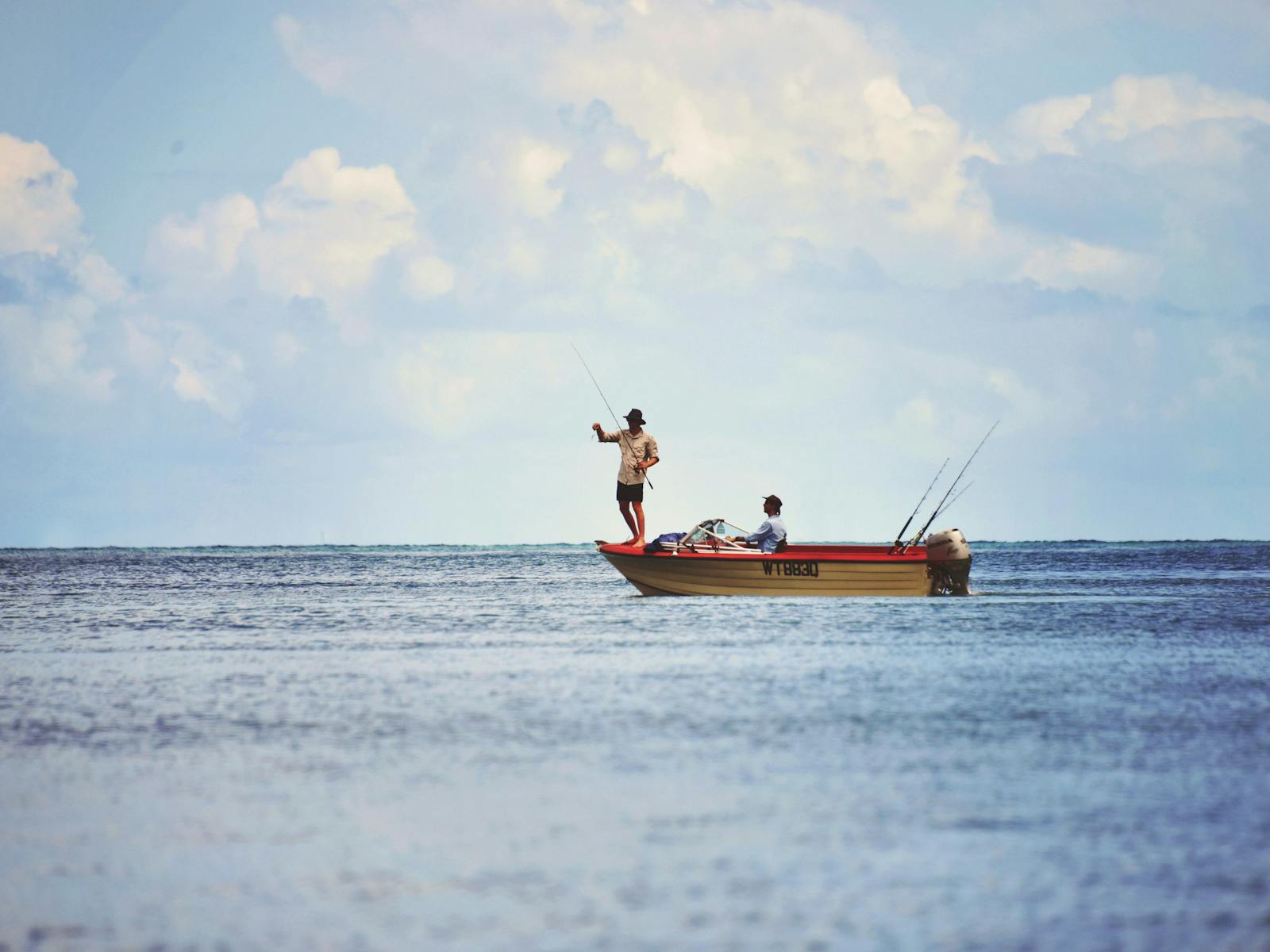 48 hours in Cape Hillsborough and The Hibiscus Coast