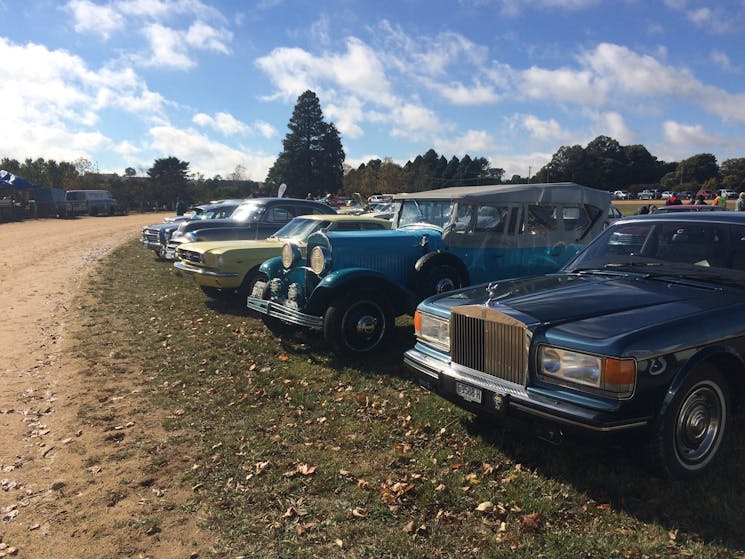 Classic and vintage cars on display