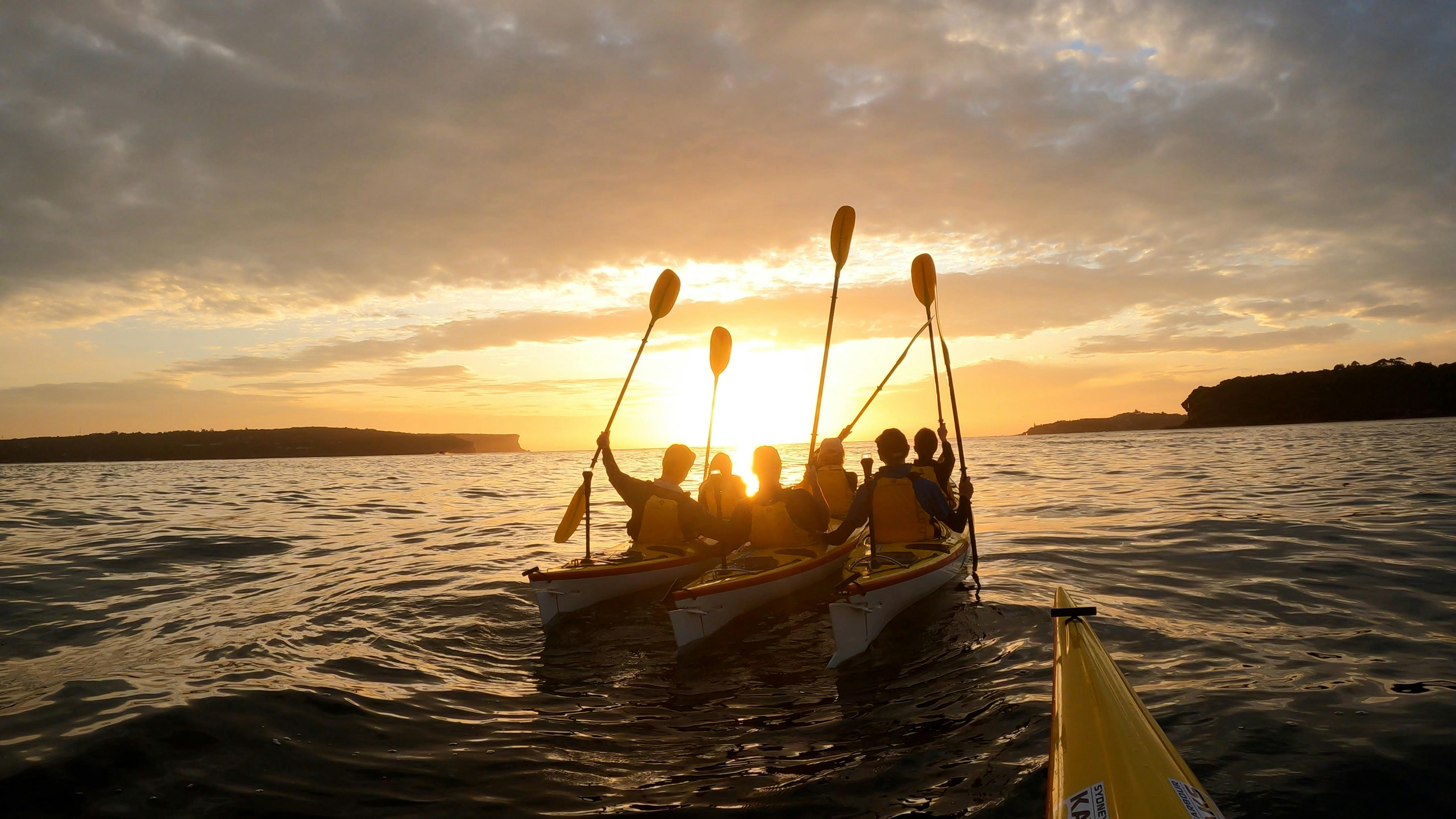 Middle Harbour Sunriser Kayak Tour