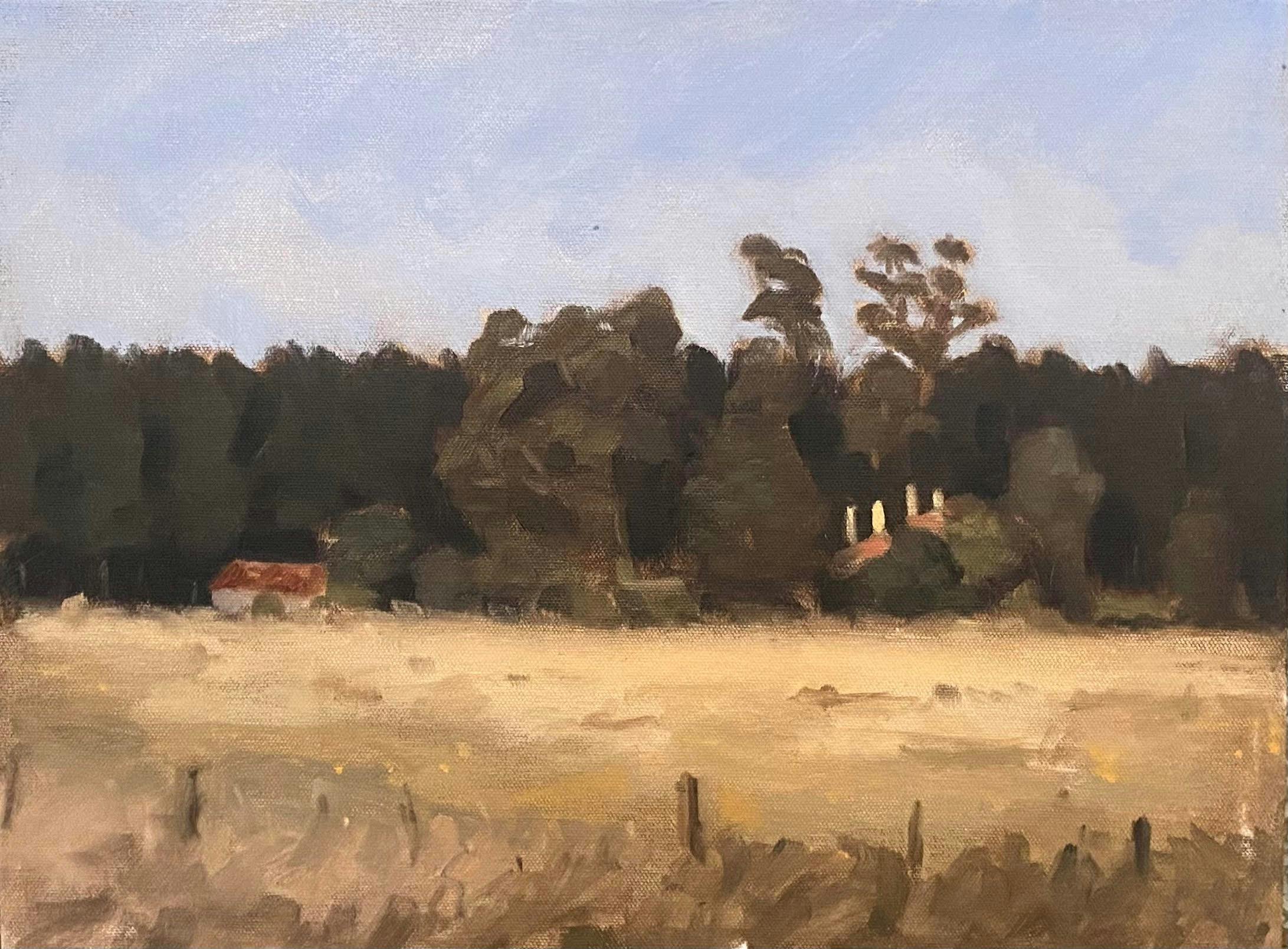 36x46cm , Oil