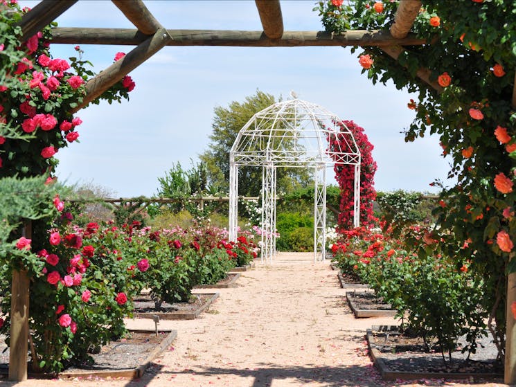 Australian Inland Botanic Gardens