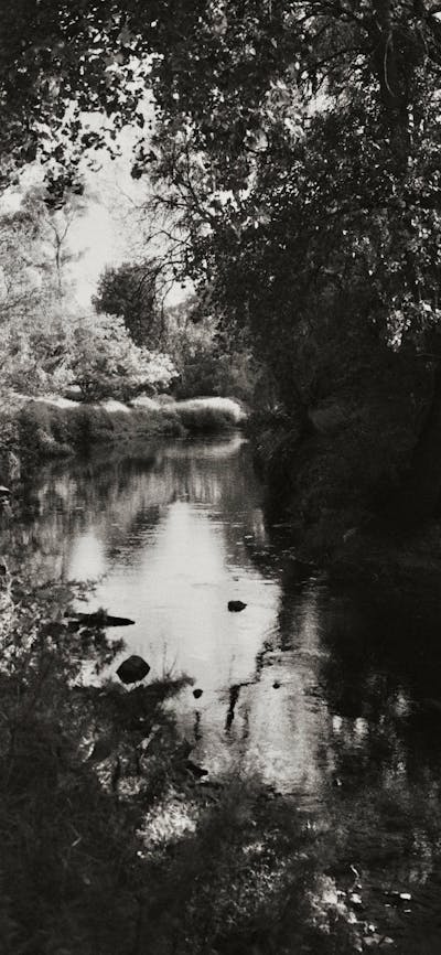A black and white photo of a stream heavily shaded by trees