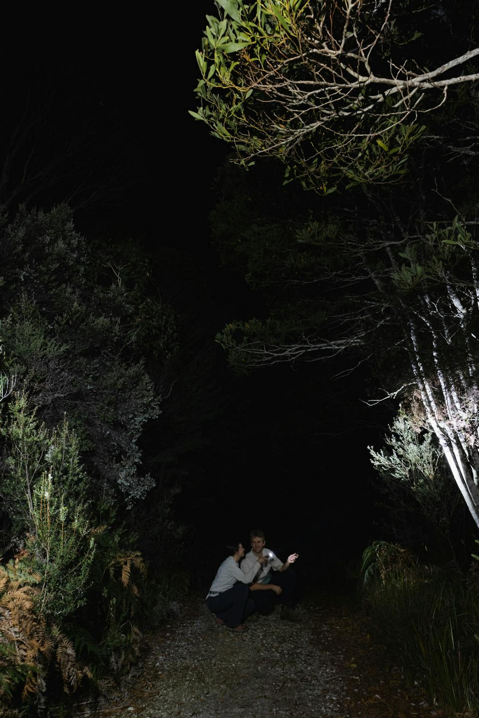 Whitmore’s Wild - Wildlife Interpretation Learning & Discovery photo