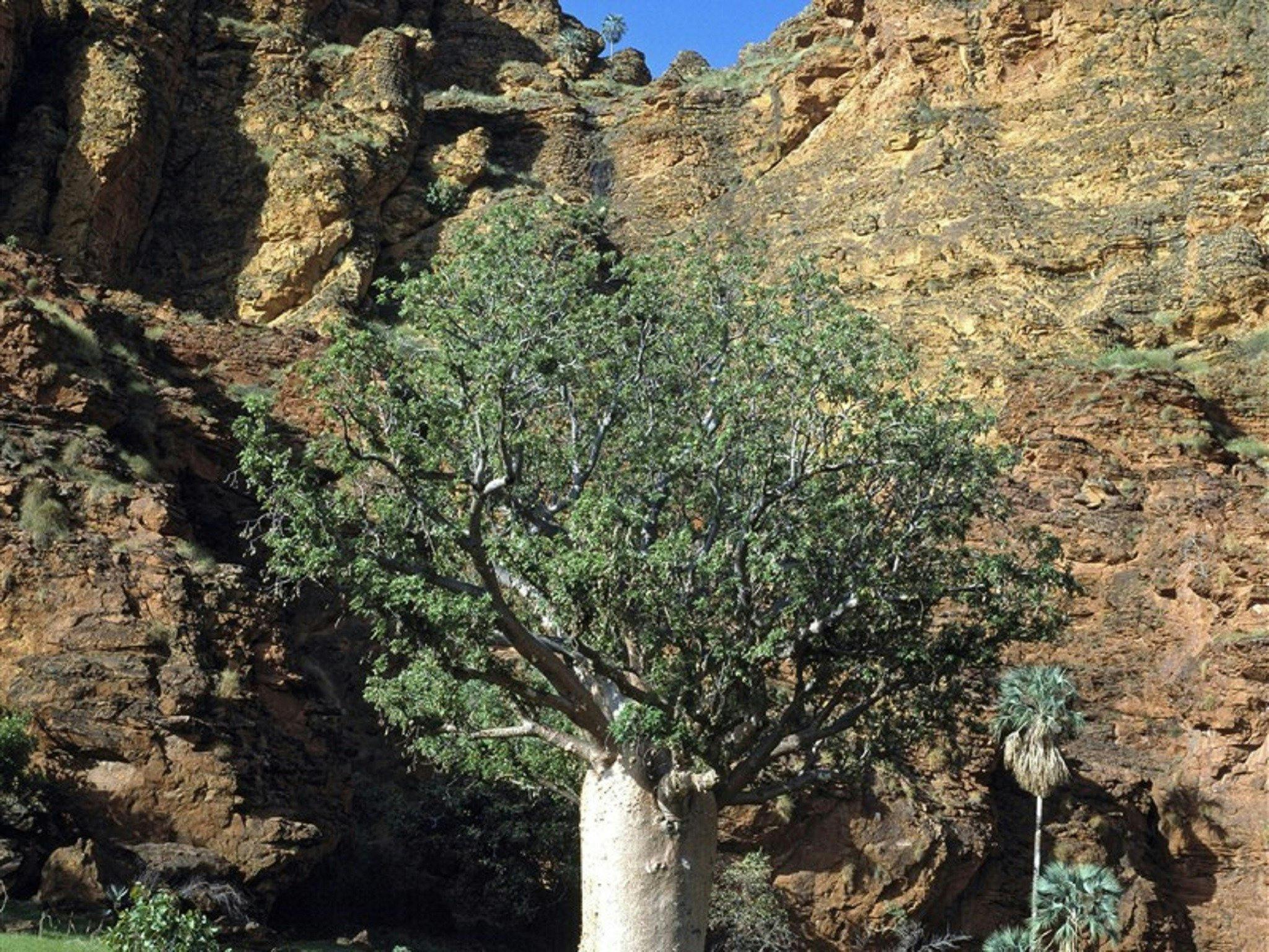 Keep River National Park