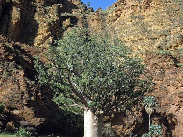 Keep River National Park