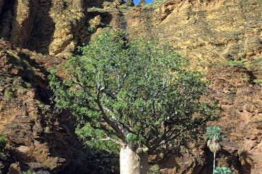 Keep River National Park