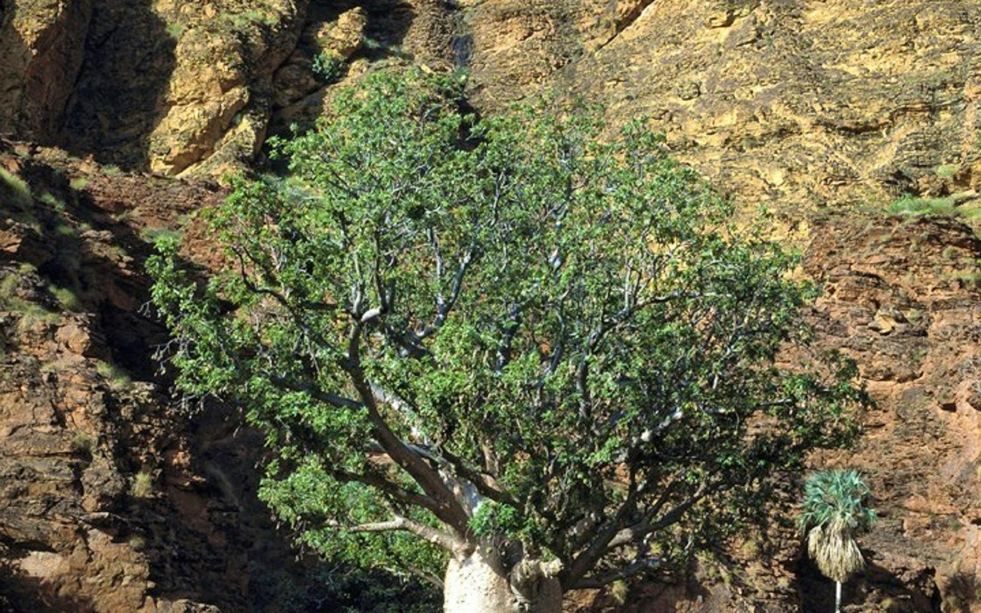 14 Famous National Parks In Darwin 10 203f9c554b83f9f333d448bed5e3df80