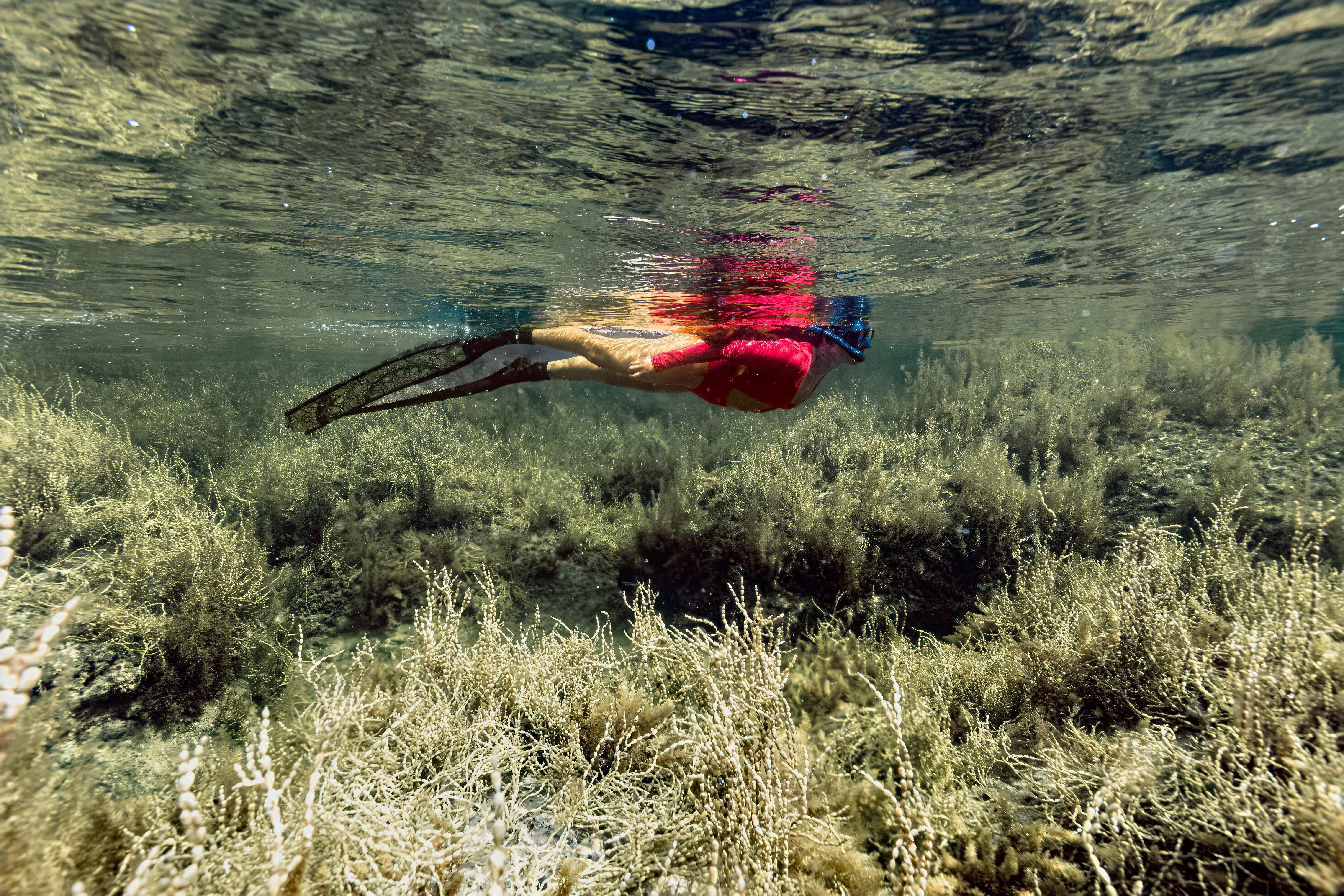 セントラルコーストでフリーダイビングと岩場探検をする少女