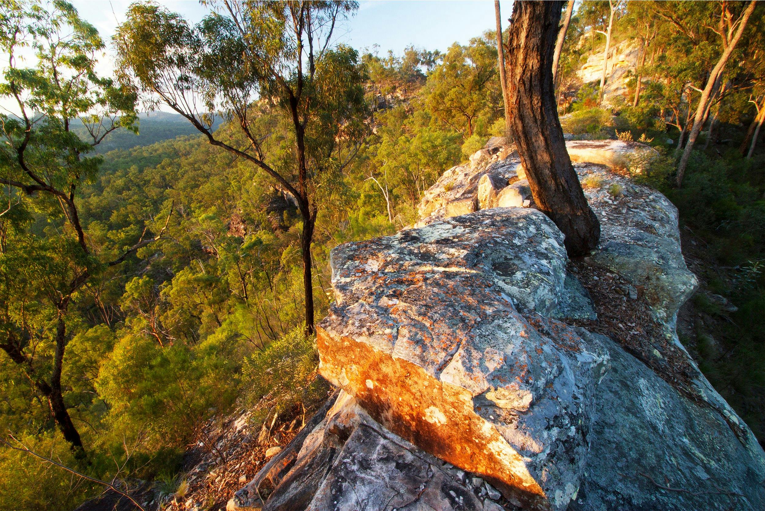 Rocky outcrop bathed in the sun's glow with woodland in the background.