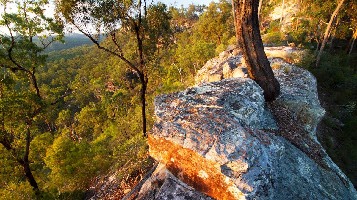 Rocky outcrop bathed in the sun's glow with woodland in the background.