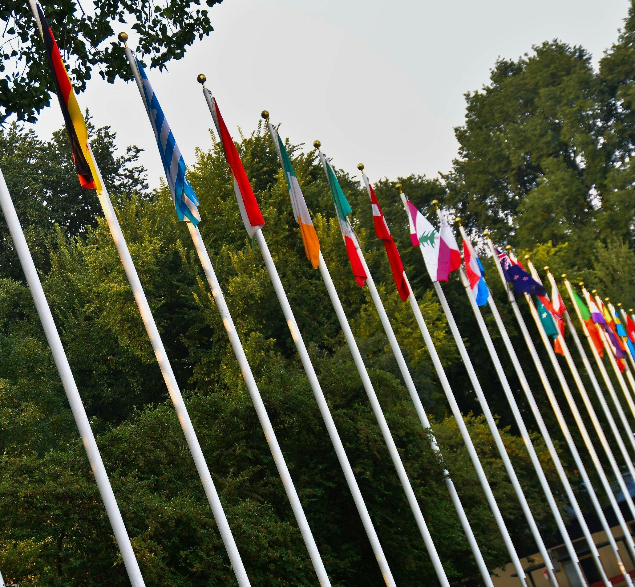 Avenue of Flags