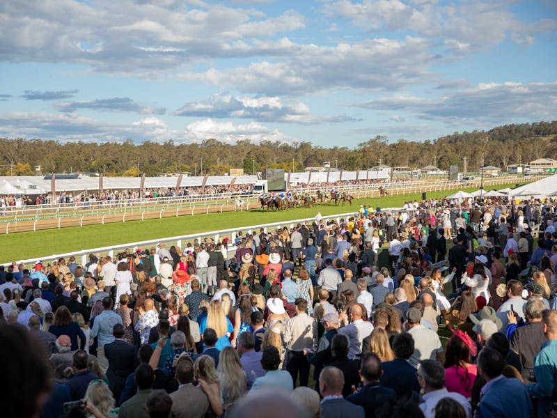 Image for TAB Ipswich Cup