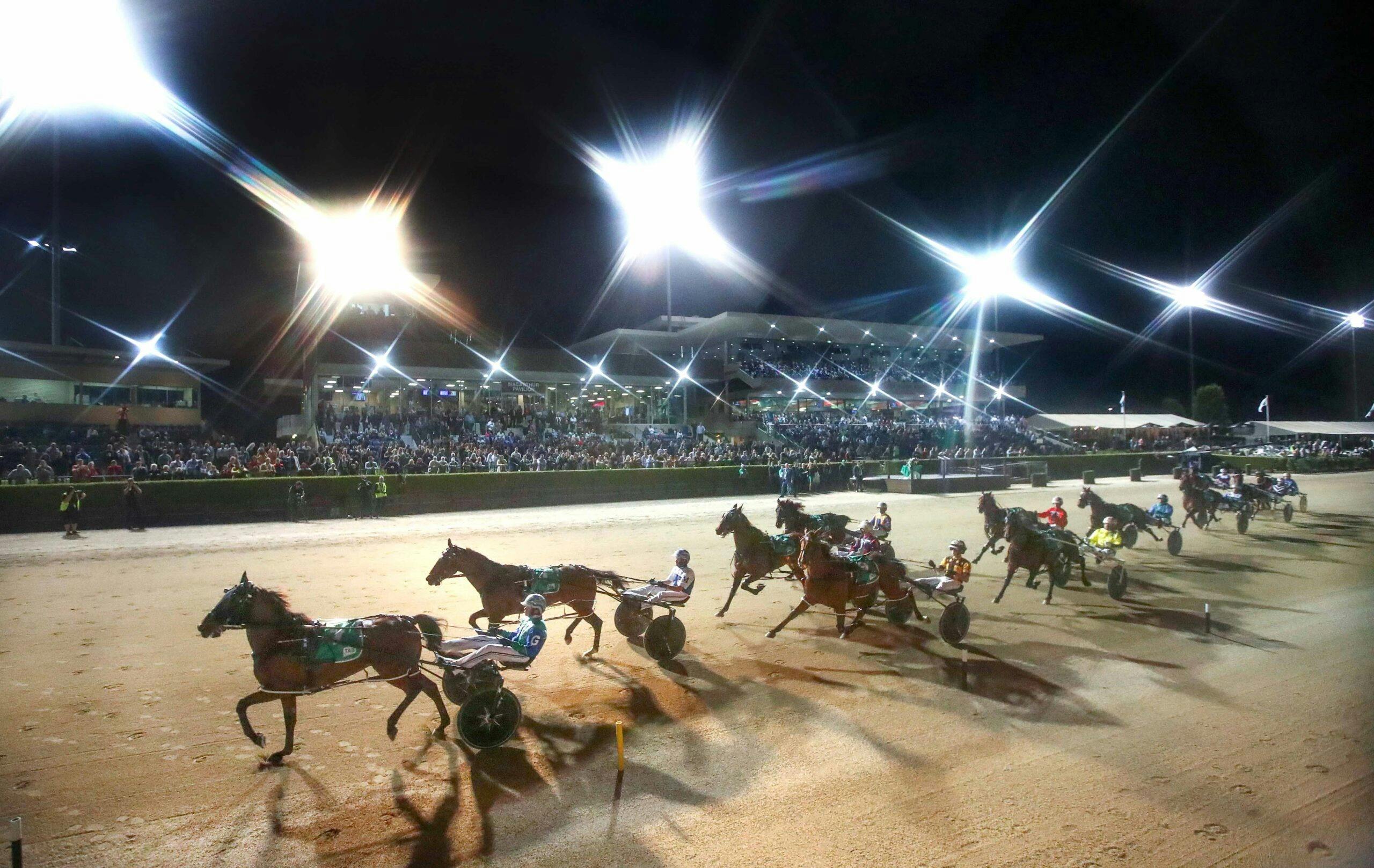 Trotting horse racing