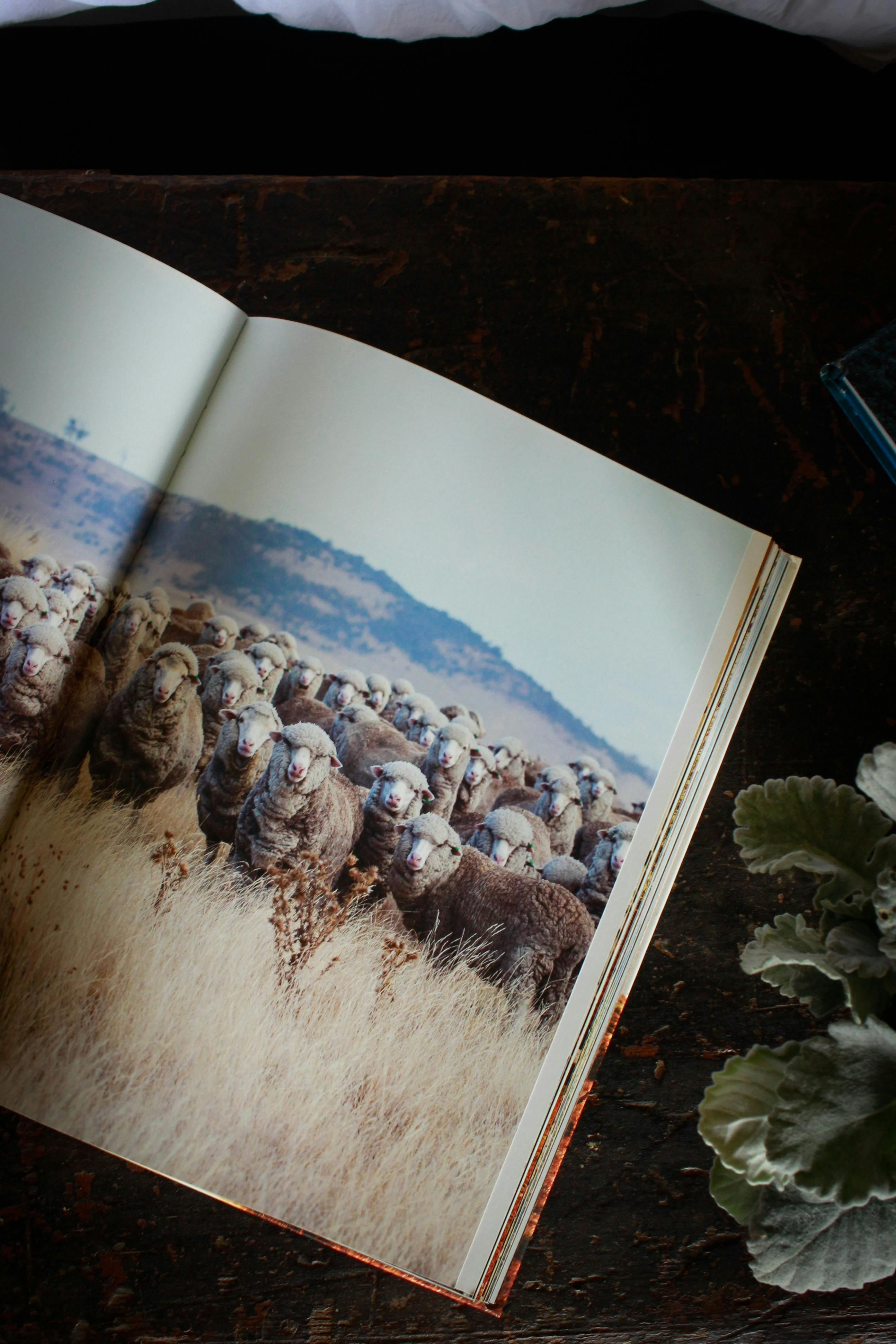 A variety of books throughout the house and the library for the avid reader