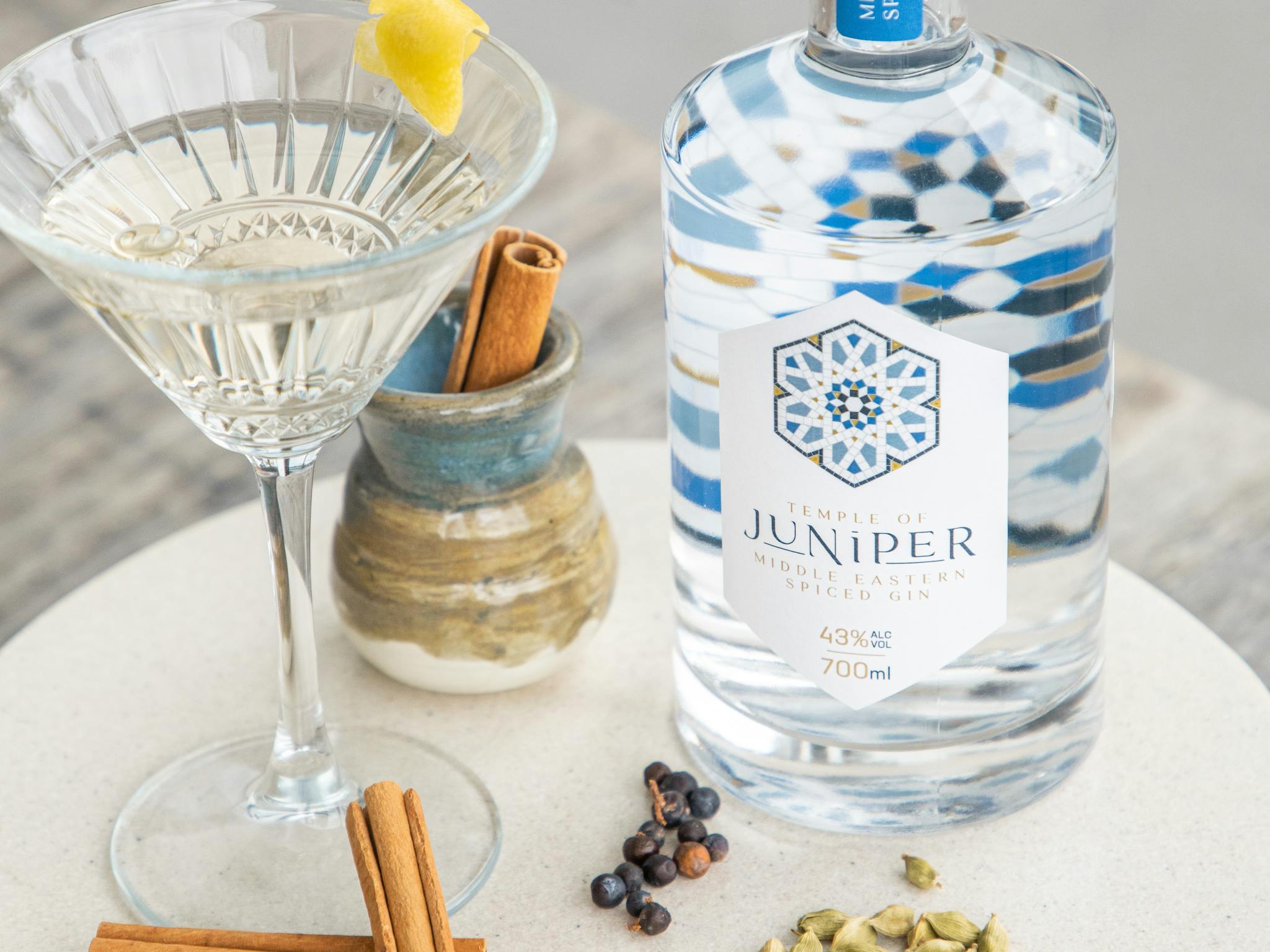 Martini and Middle Eastern Spiced Gin Martini and Middle Eastern Spiced Gin