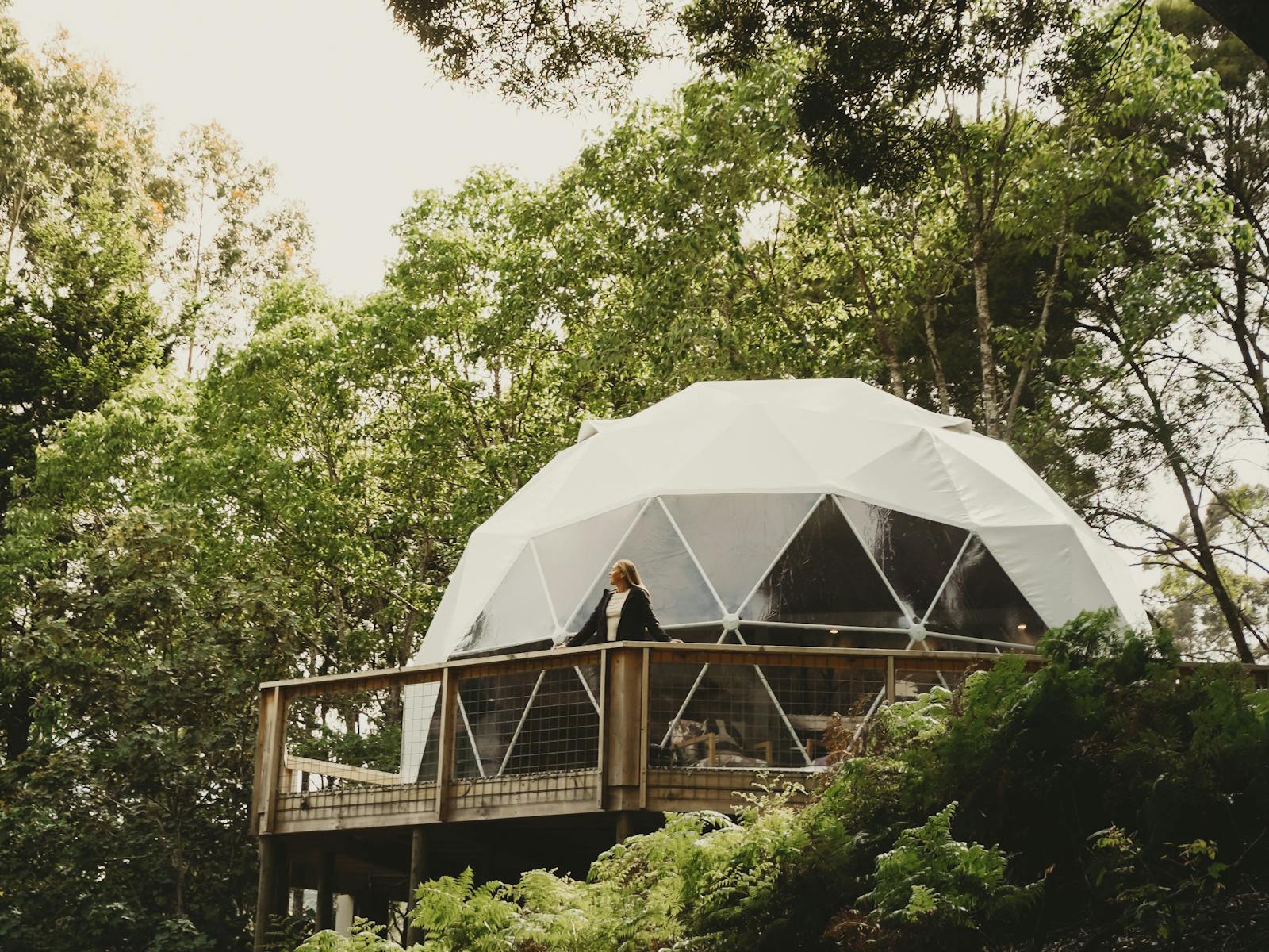 Wollemi Rise dome