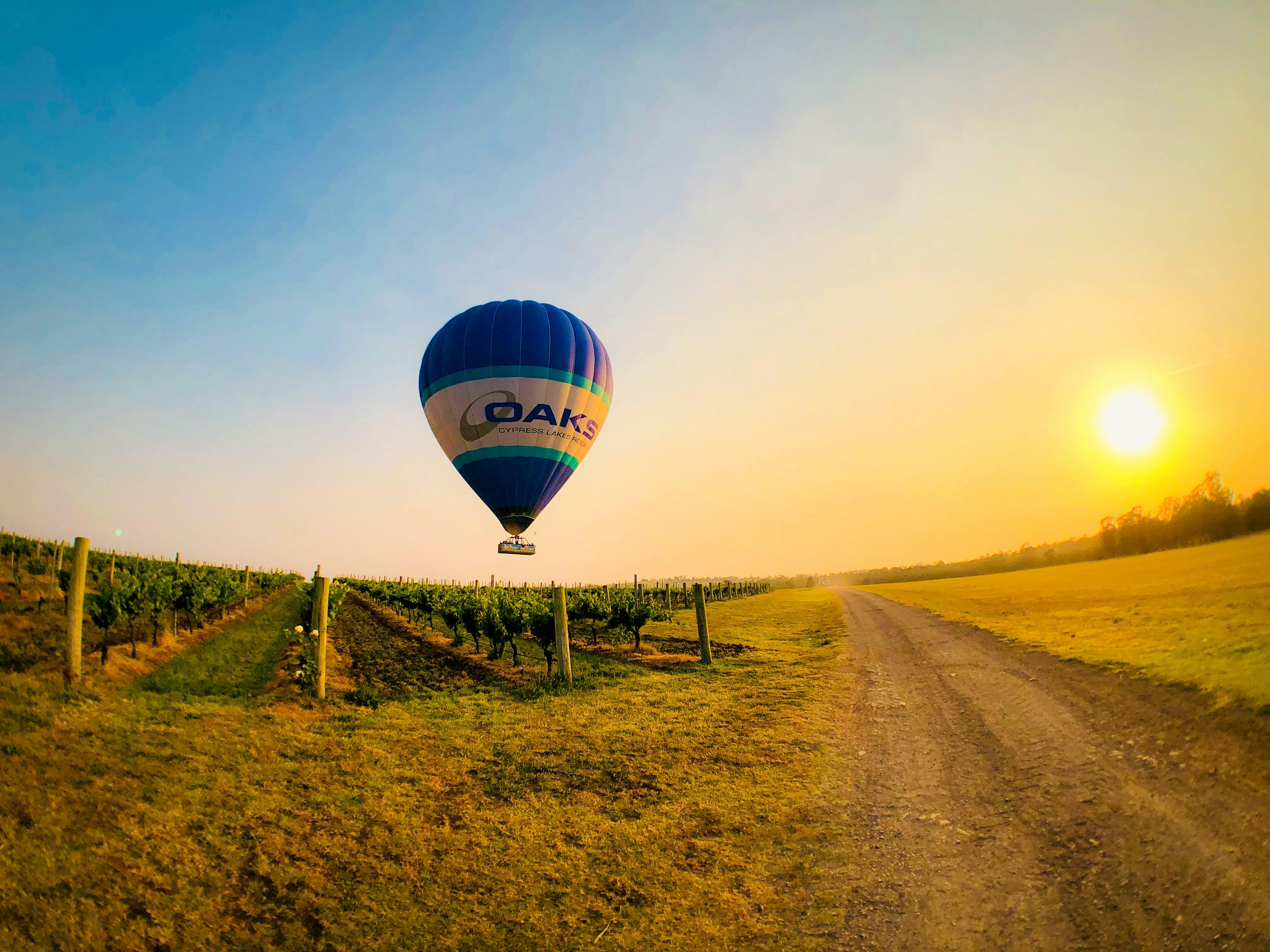 Balloon Aloft balloon flys over the Hunter Valley vineyards at sunrise
